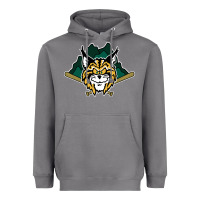 Storm lynchburg hillcats Baseball Heavyweight Hoodie - linhVisuals