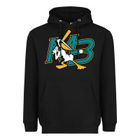 Black the myrtle beach pelicans baseball Heavyweight Hoodie - linhVisuals