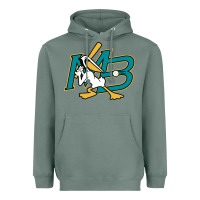 Sage the myrtle beach pelicans baseball Heavyweight Hoodie - linhVisuals