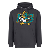 Smoke the myrtle beach pelicans baseball Heavyweight Hoodie - linhVisuals