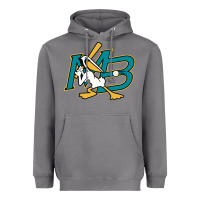 Storm the myrtle beach pelicans baseball Heavyweight Hoodie - linhVisuals