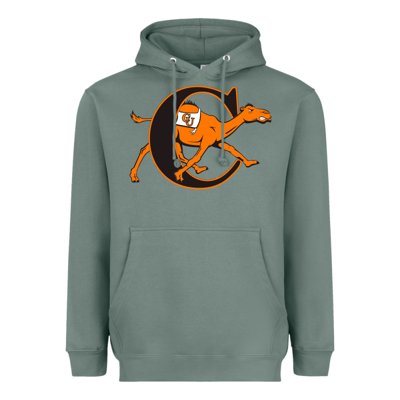 Campbell Fighting Camels Heavyweight Hoodie by linhVisuals | Teevron