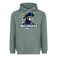 Sage charleston southern buccaneers Heavyweight Hoodie - linhVisuals