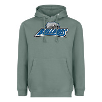 Sage unc asheville bulldogs Heavyweight Hoodie - linhVisuals