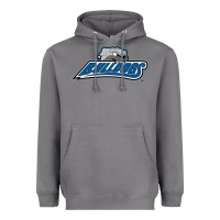 Storm unc asheville bulldogs Heavyweight Hoodie - linhVisuals