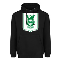 Black eiteun olimpija ljubljana Heavyweight Hoodie - linhVisuals