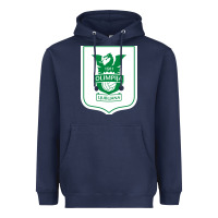 Eiteun Olimpija Ljubljana Heavyweight Hoodie | Teevron