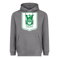 Storm eiteun olimpija ljubljana Heavyweight Hoodie - linhVisuals