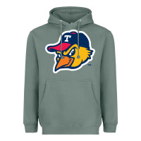 Sage suitable-toledo-mud-hens-worn Heavyweight Hoodie - linhVisuals