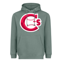 Sage suitable-vancouver-canadians-worn Heavyweight Hoodie - linhVisuals