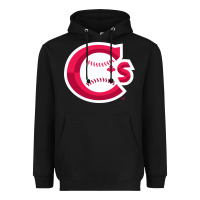 Black suitable-vancouver-canadians-worn Heavyweight Hoodie - linhVisuals