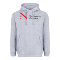Heather Grey The the northeastern Heavyweight Hoodie - linhVisuals