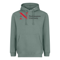 Sage The the northeastern Heavyweight Hoodie - linhVisuals