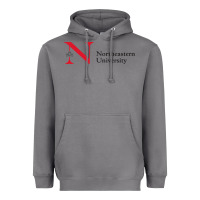 Storm The the northeastern Heavyweight Hoodie - linhVisuals