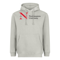 Moon Dust The the northeastern Heavyweight Hoodie - linhVisuals