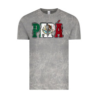 Cloud Rock Mexican Flag Papá Vintage Tee - Jasminsmagicworld