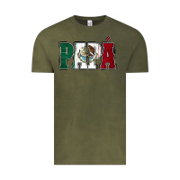 Vintage Olive Mexican Flag Papá Vintage Tee - Jasminsmagicworld