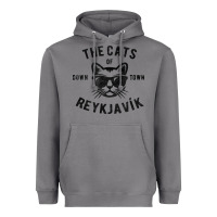 Storm cats of downtown reykjavik t shirt Heavyweight Hoodie - linhVisuals