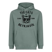 Sage cats of downtown reykjavik t shirt Heavyweight Hoodie - linhVisuals