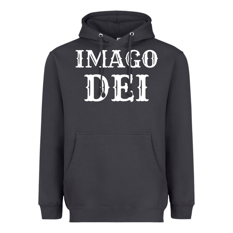Imago Dei Image Of God Christian T Shirt Reformed Jesus Heavyweight Hoodie by linhVisuals | Teevron