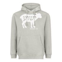 Moon Dust isaiah 53 lamb yeshua jesus t shirt Heavyweight Hoodie - linhVisuals