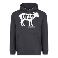 Smoke isaiah 53 lamb yeshua jesus t shirt Heavyweight Hoodie - linhVisuals