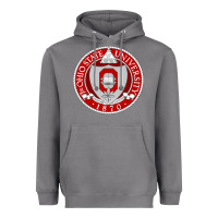 Storm OSU, Columbus, university gear Heavyweight Hoodie - linhVisuals