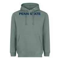Sage Nittany lions, PSU,  athletics gear Heavyweight Hoodie - linhVisuals