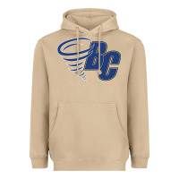Mushroom brevard college Heavyweight Hoodie - linhVisuals