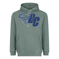 Sage brevard college Heavyweight Hoodie - linhVisuals