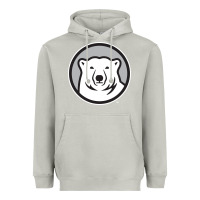 Moon Dust bowdoin college Heavyweight Hoodie - linhVisuals