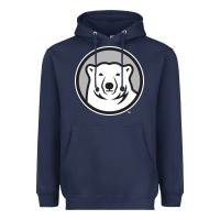 Navy bowdoin college Heavyweight Hoodie - linhVisuals