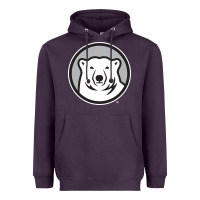 Plum bowdoin college Heavyweight Hoodie - linhVisuals