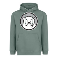 Sage bowdoin college Heavyweight Hoodie - linhVisuals