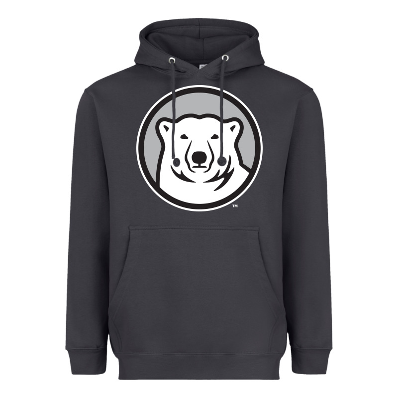 Bowdoin College Heavyweight Hoodie by linhVisuals | Teevron