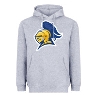 Heather Grey Carleton College Heavyweight Hoodie - linhVisuals
