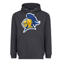 Smoke Carleton College Heavyweight Hoodie - linhVisuals