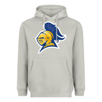 Moon Dust Carleton College Heavyweight Hoodie - linhVisuals
