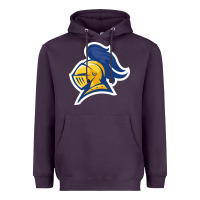 Plum Carleton College Heavyweight Hoodie - linhVisuals