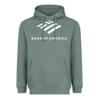 Sage Financial services company america Heavyweight Hoodie - linhVisuals