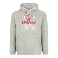 Moon Dust i want hippopotamus for christmas hippo xmas gift Heavyweight Hoodie - linhVisuals