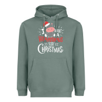 Sage i want hippopotamus for christmas hippo xmas gift Heavyweight Hoodie - linhVisuals