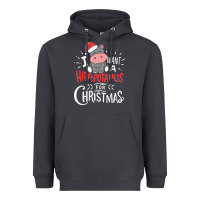 I Want Hippopotamus For Christmas Hippo Xmas Gift Heavyweight Hoodie | Teevron