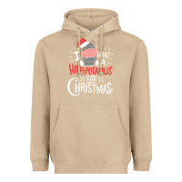 Mushroom i want hippopotamus for christmas hippo xmas gift Heavyweight Hoodie - linhVisuals