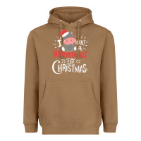 Toasted Coconut i want hippopotamus for christmas hippo xmas gift Heavyweight Hoodie - linhVisuals