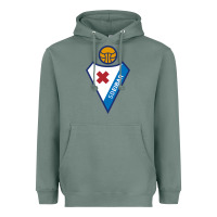 Sage suitable-sd-eibar-worn Heavyweight Hoodie - linhVisuals
