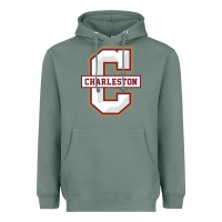 Sage charleston cougars Heavyweight Hoodie - linhVisuals