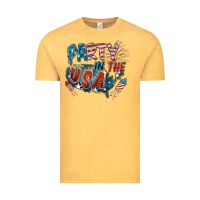 Party In The Usa Vintage Tee | Teevron