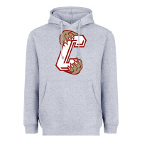 Heather Grey charleston cougars Heavyweight Hoodie - linhVisuals