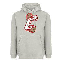 Moon Dust charleston cougars Heavyweight Hoodie - linhVisuals